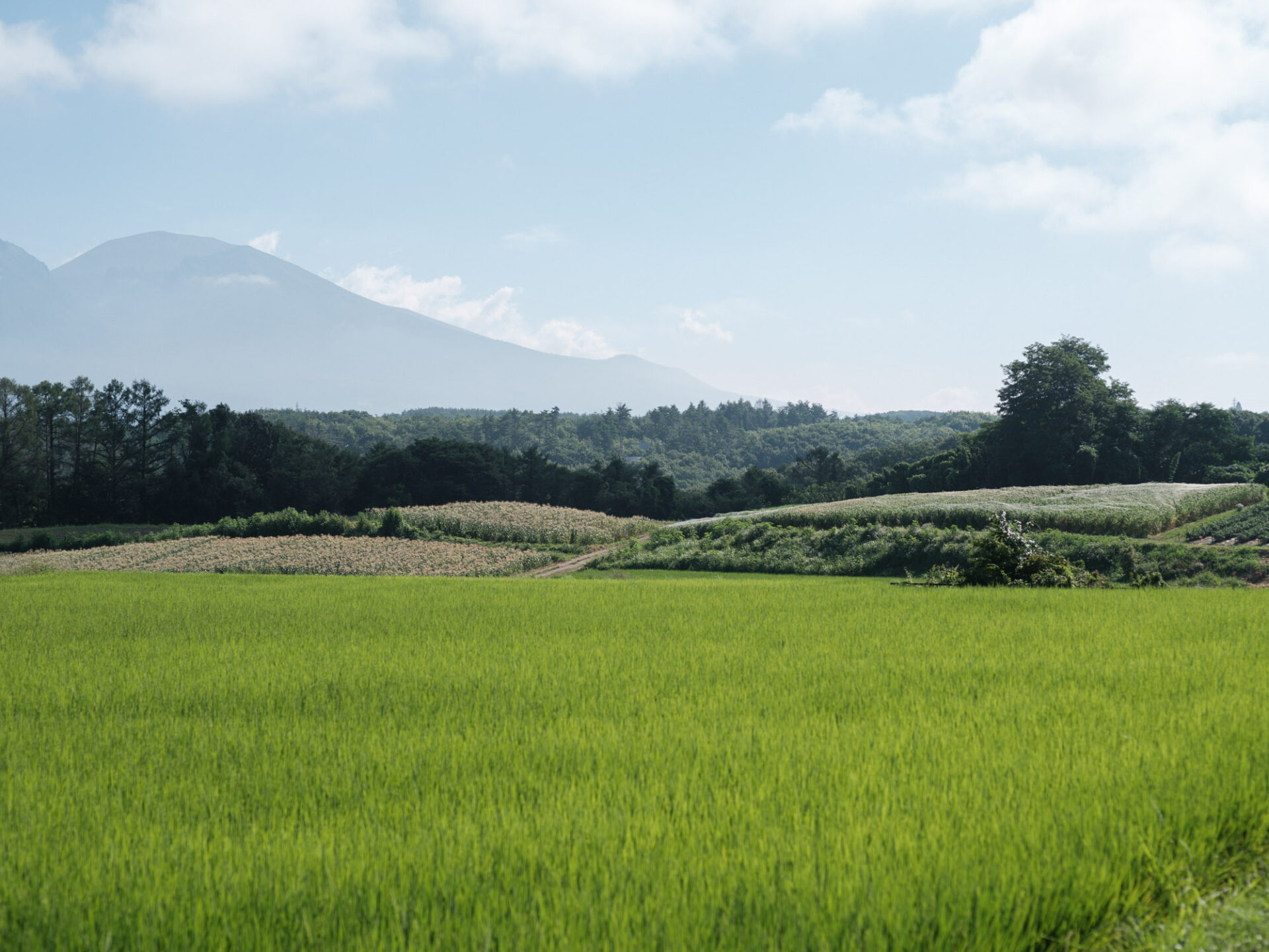 夏休みに長野へぜひ