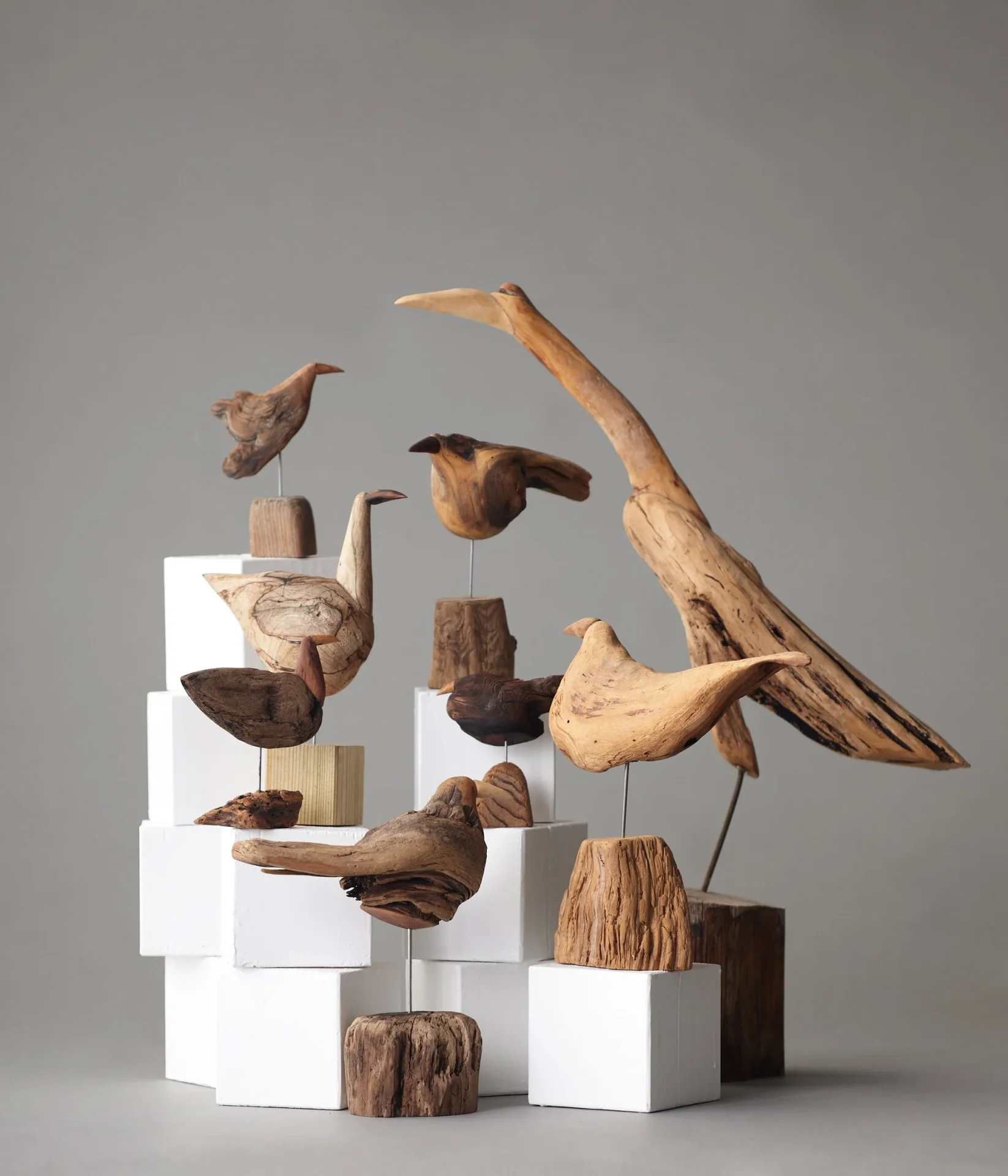 問touのギャラリーに鎮座する