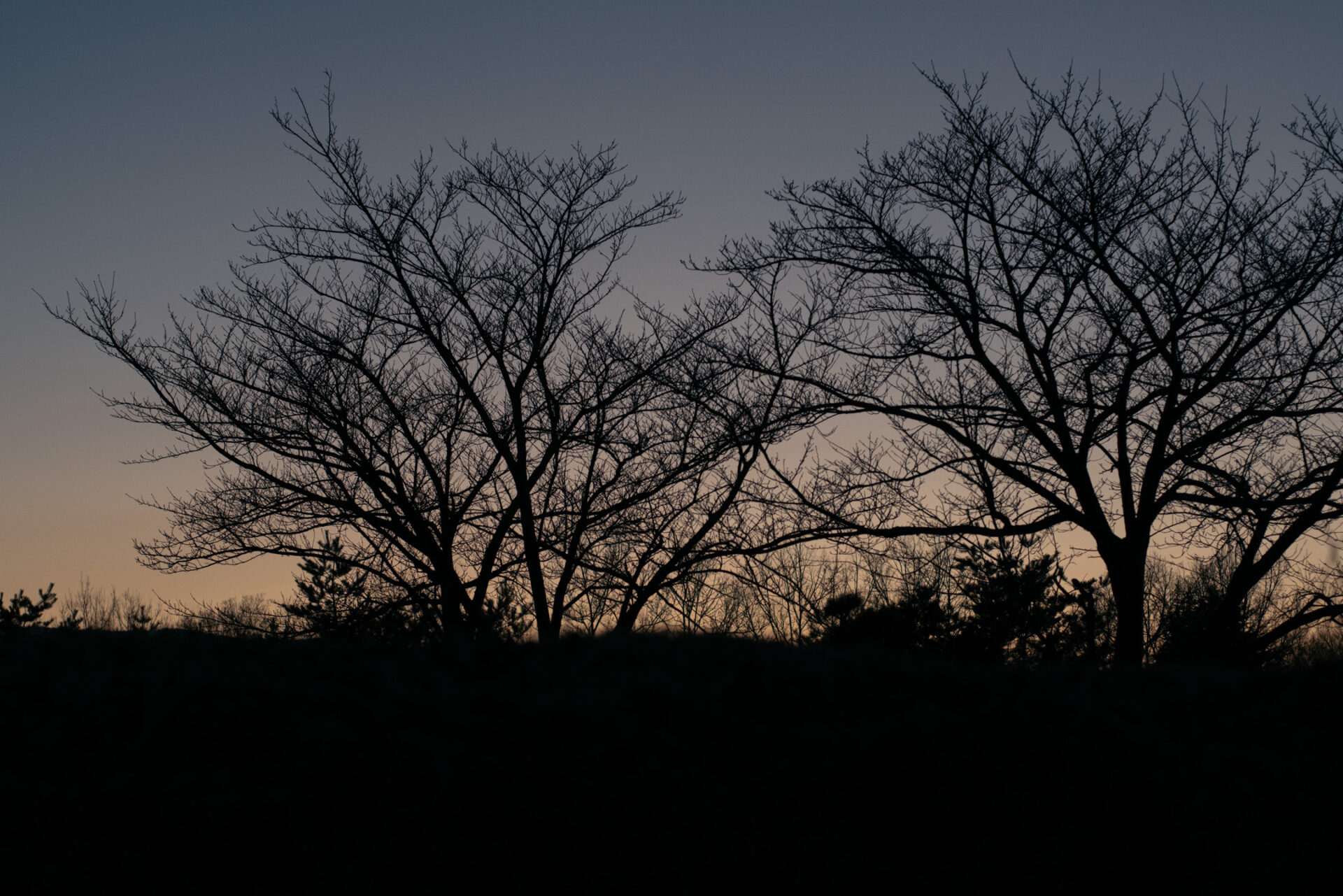 もうすぐ立春です