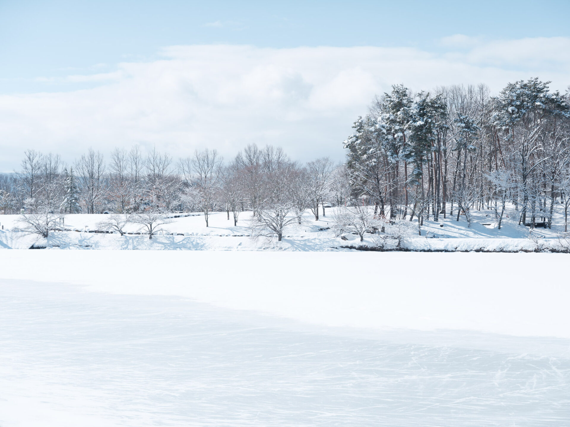長野の冬景色になりました