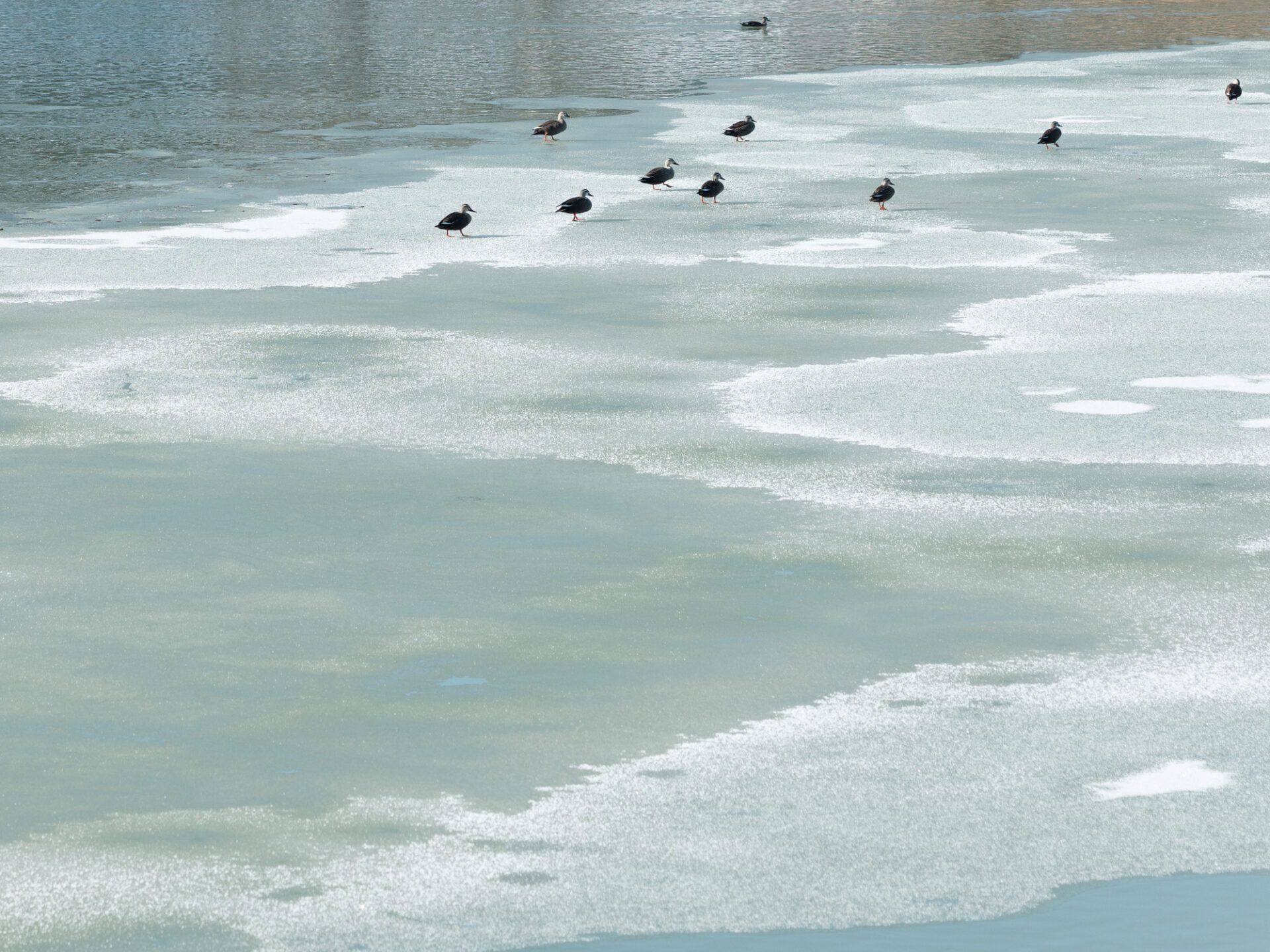 寒い日はぜひ問touにお越しください