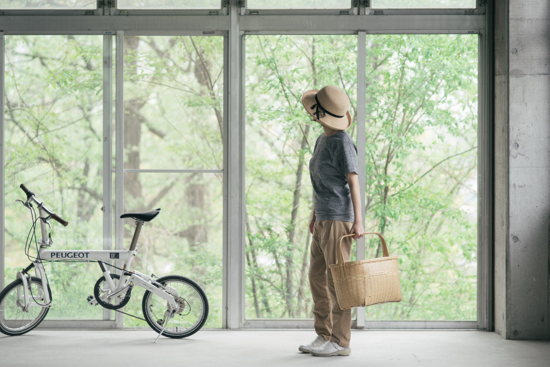 新緑が始まります